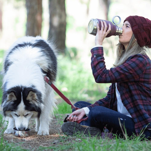 dog drinking from removable bowl while owner holds 37oz insulated stainless steel water bottle burgundy