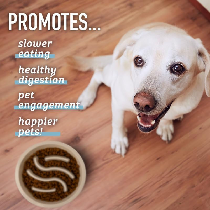 puzzle maze slow feeder dog bowl promotes slow eating and prevents gulping