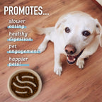 puzzle maze slow feeder dog bowl promotes slow eating and prevents gulping