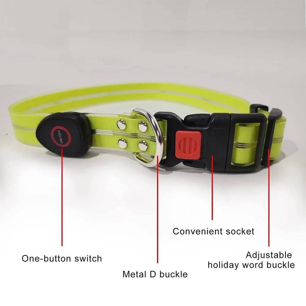 LED dog collar close up showing buckle LED strip and USB charging port labeled components