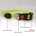 LED dog collar close up showing buckle LED strip and USB charging port labeled components