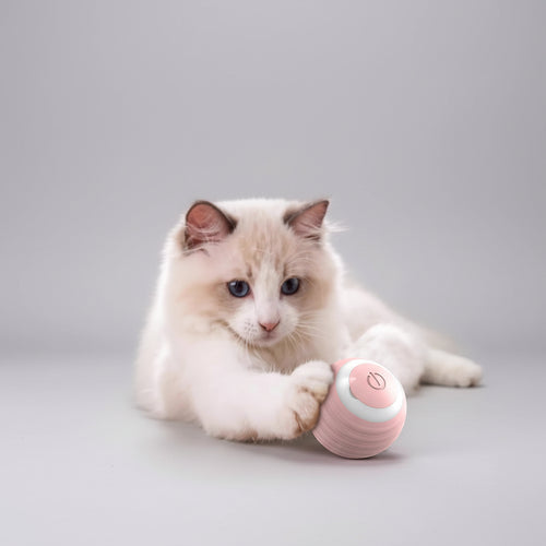 smart cat toy ball normal version durable abs material 42 mm size interactive rolling play for indoor cats