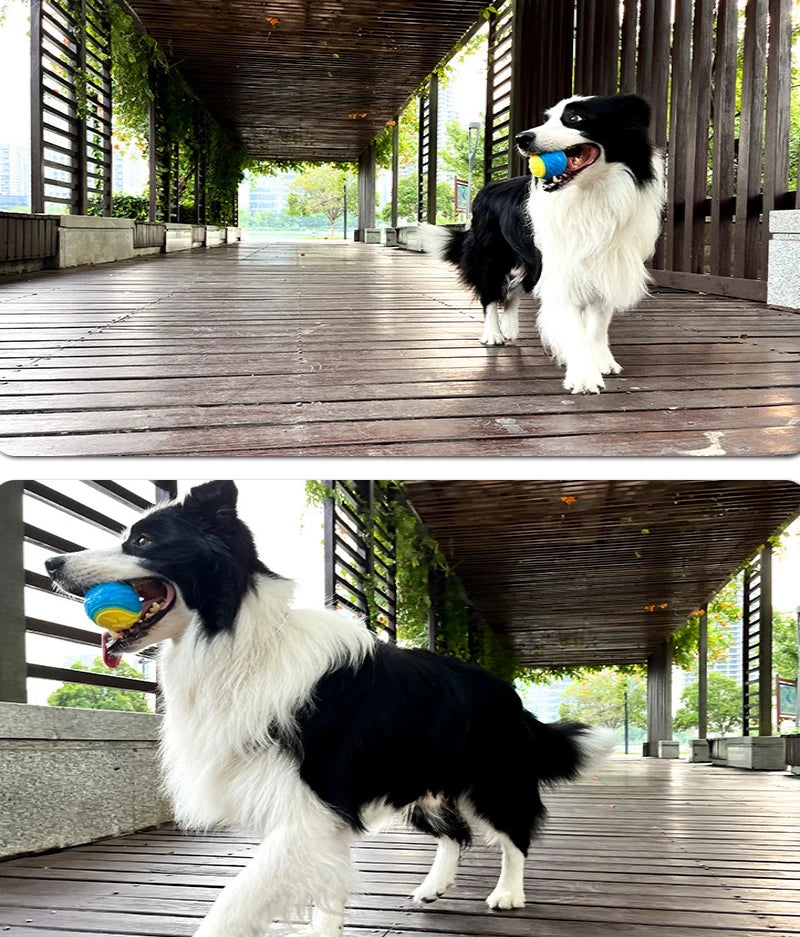dog playing with TPR squeaky ball interactive chew toy for active dogs