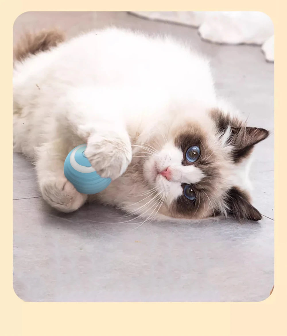 cat playing with smart automatic rolling ball motion sensor pet toy for exercise and stimulation