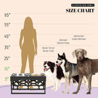 elevated dog feeder size chart showing recommended feeding heights for small medium and large dog breeds