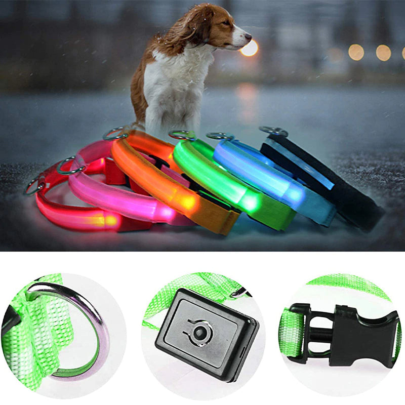 LED dog collars in multiple colors glowing at night with close‑up views of buckle, battery switch, and metal ring for pet safety.