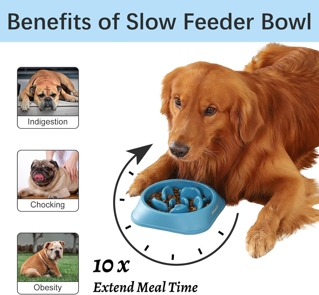 Dog lying beside a dark blue slow feeder bowl filled with food, showing maze design that helps reduce choking, indigestion, obesity, and extends mealtime up to 10x.