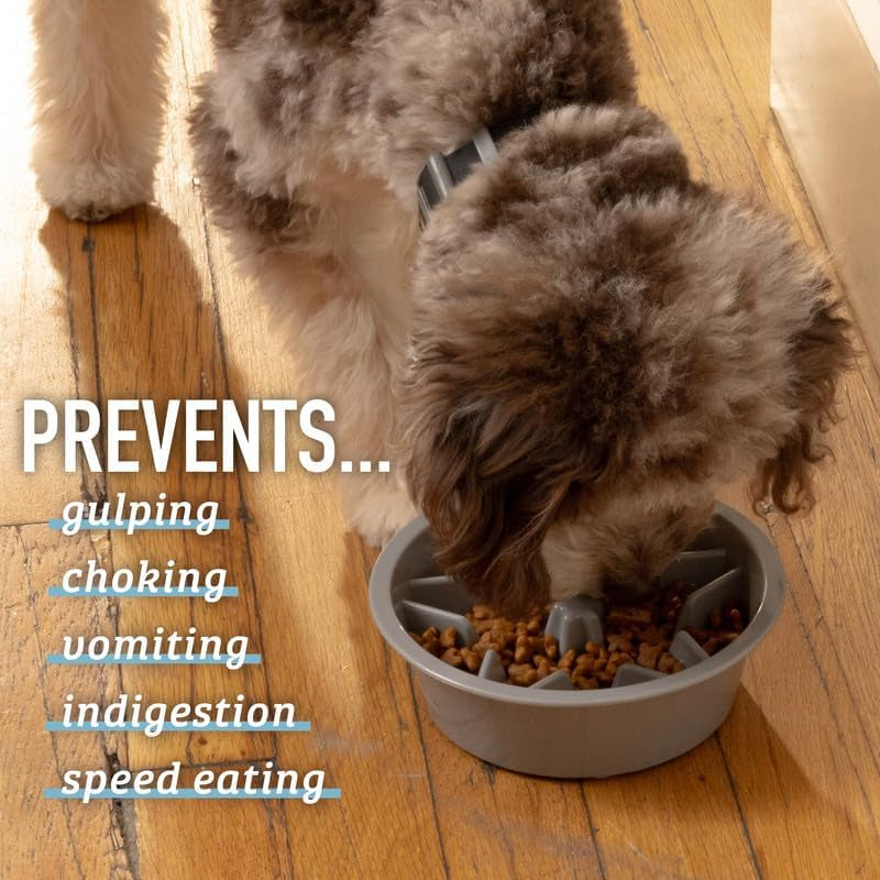 slow feeder dog bowl puzzle design slows eating for healthier digestion