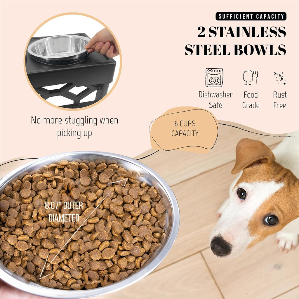 elevated dog bowls with two stainless steel bowls showing 6 cup capacity food grade rust free dishwasher safe design with small dog looking up