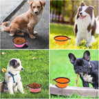 collapsible travel dog bowls shown in use outdoors with dogs eating and drinking portable lightweight design with carabiners for hiking walking and trips