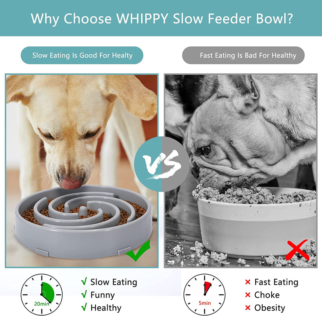 slow vs fast eating comparison showing how slow feeder dog bowl reduces gulping and improves digestion