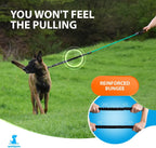 no pull bungee dog leash showing dog walking calmly without pulling shock absorbing lead