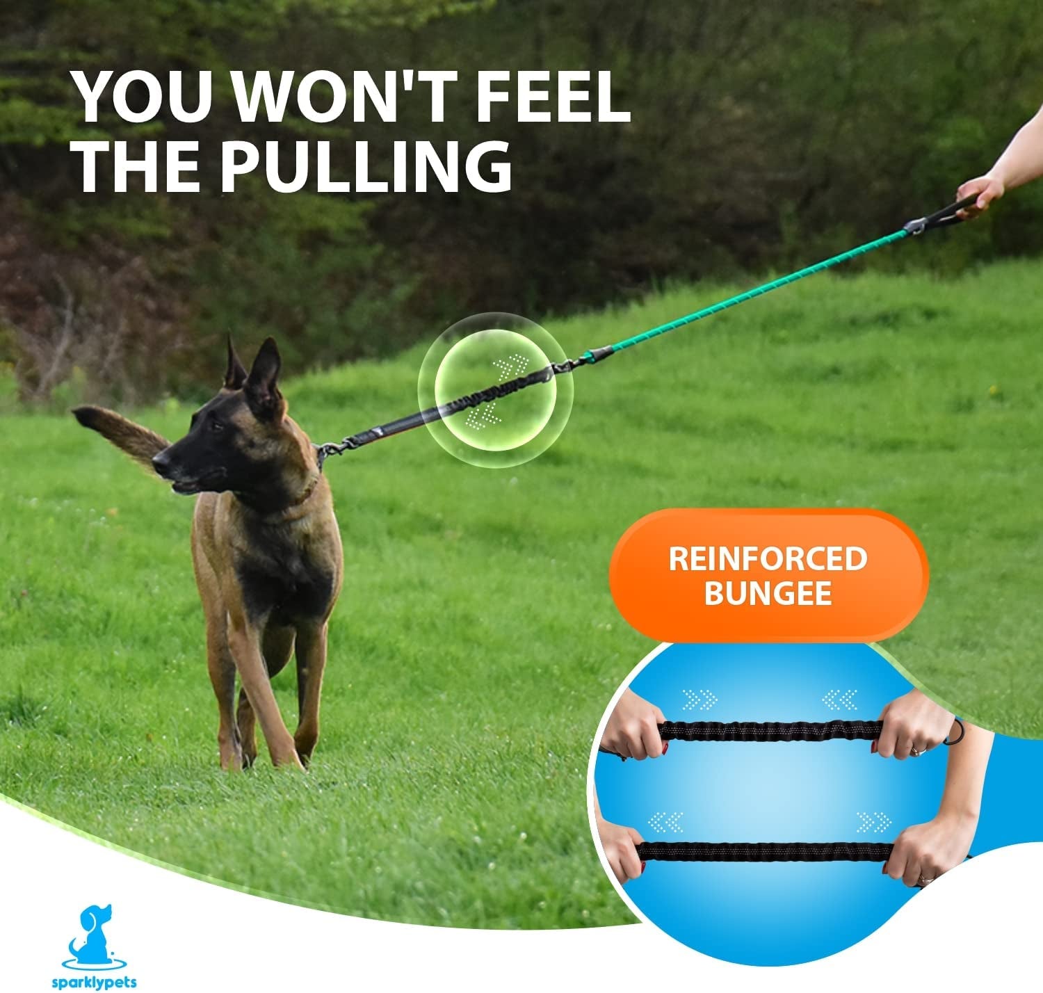 no pull bungee dog leash showing dog walking calmly without pulling shock absorbing lead
