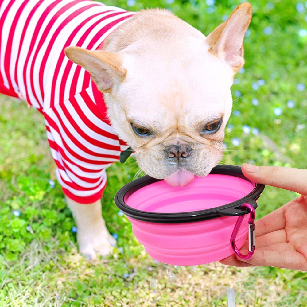 dog drinking from collapsible travel bowl small portable silicone dish for food or water