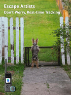 Dog escape artist standing at a gate while handheld GPS tracker shows real‑time direction and distance.