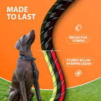 heavy duty dog leash close up showing reinforced hook anti tangle swivel and durable stitching