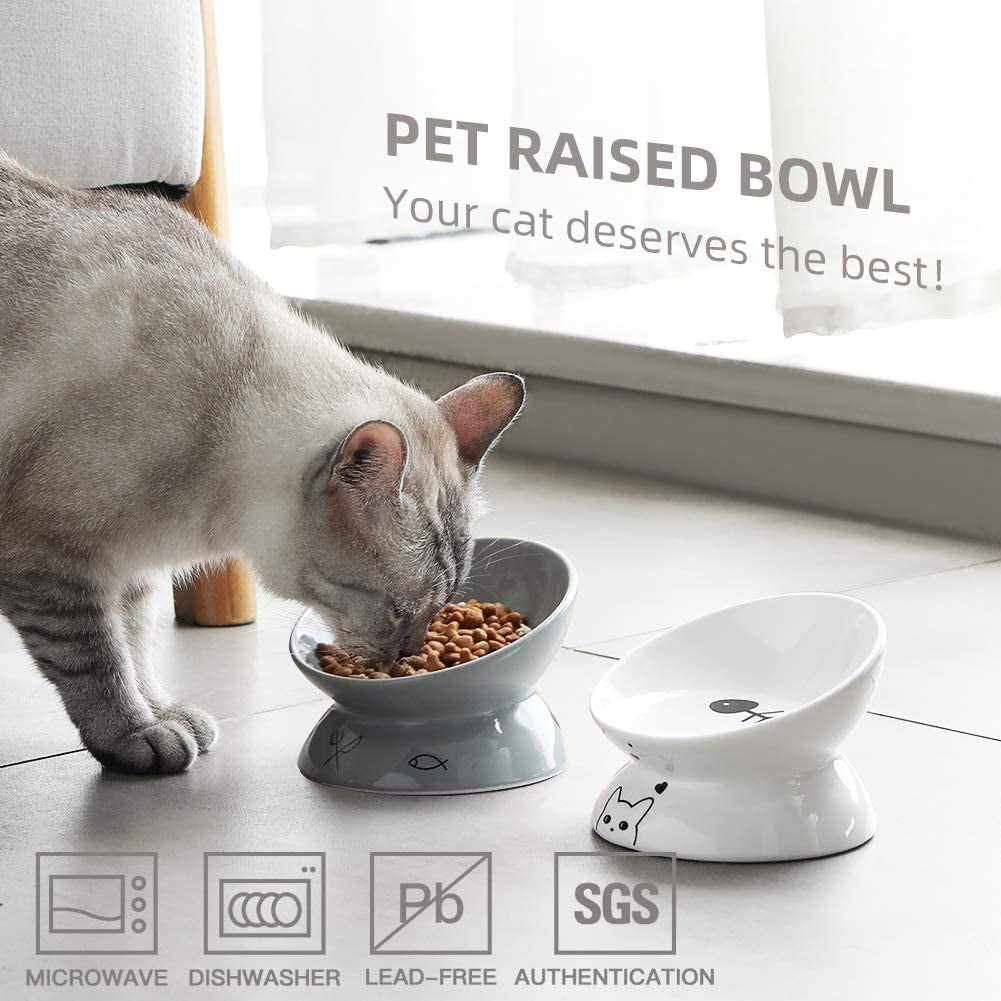 slanted elevated cat food bowl ceramic ergonomic design for healthy digestion