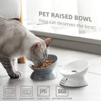 slanted elevated cat food bowl ceramic ergonomic design for healthy digestion