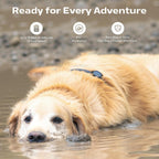 Golden retriever lying in mud wearing waterproof GPS tracker built for rugged, off‑grid adventures.