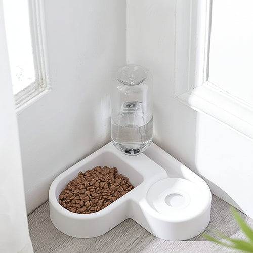 Automatic pet water dispenser placed on floor with pet eating from food bowl stable compact and easy to clean