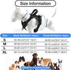 dog harness size chart with neck and chest measurements for small medium large and xl dogs