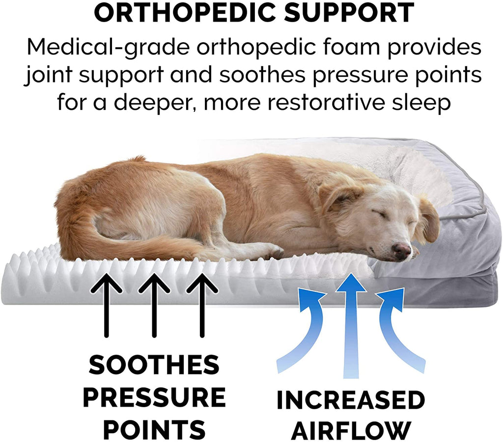 orthopedic foam dog bed showing pressure point relief and increased airflow support