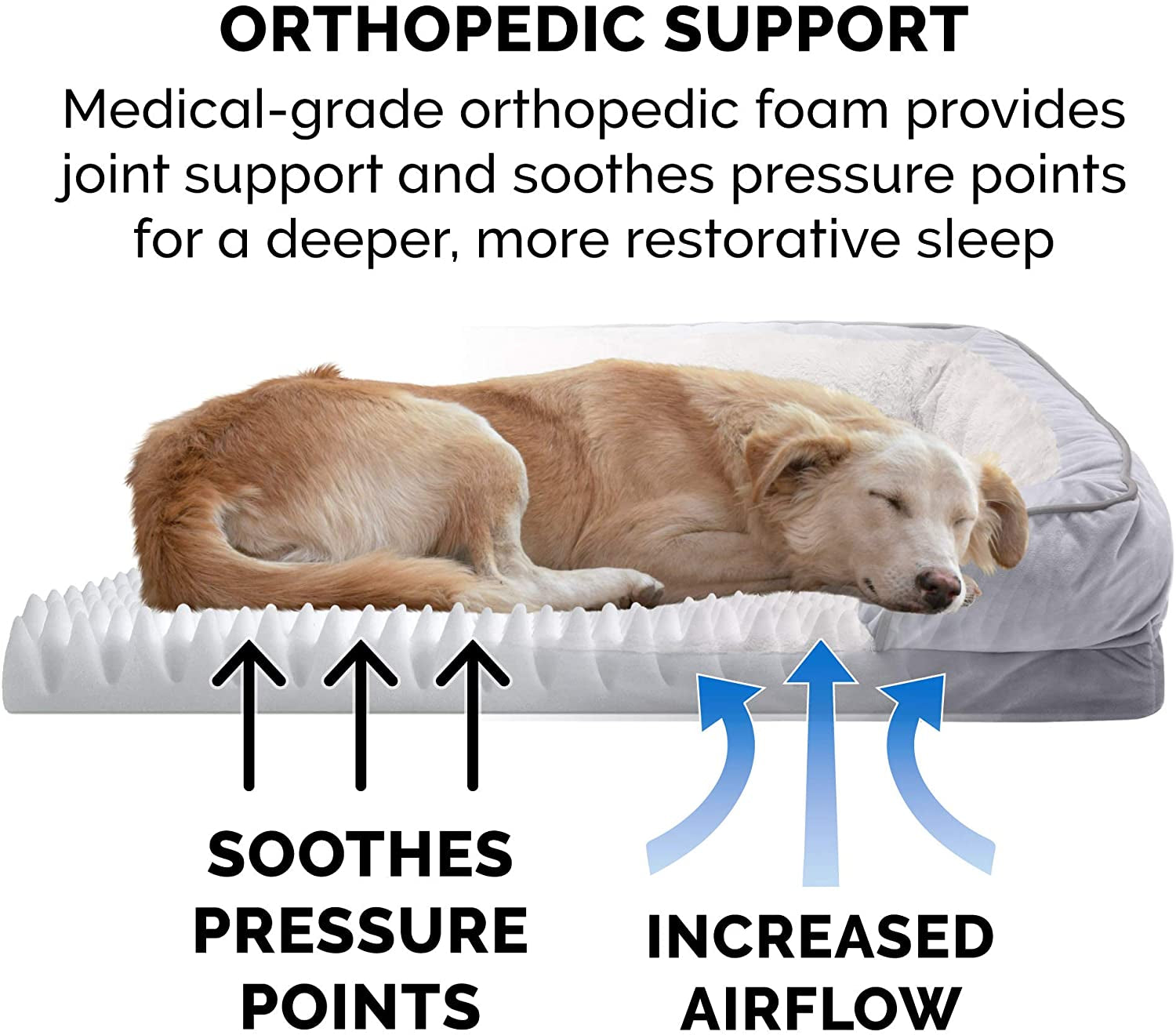 orthopedic foam dog bed showing pressure point relief and increased airflow support