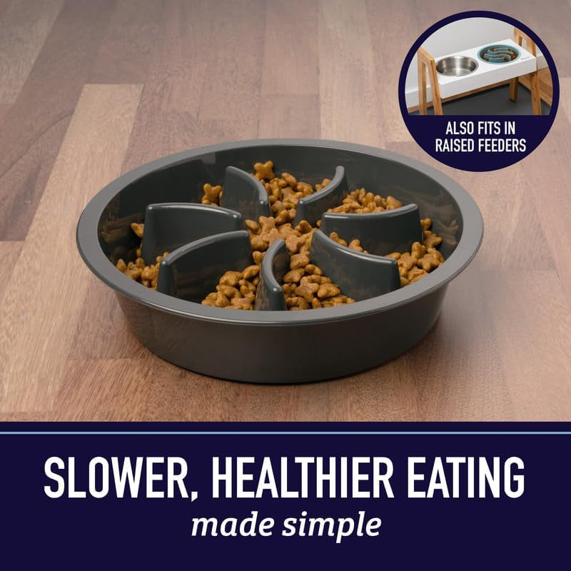 slow feeder dog bowl fits elevated feeders compatible with raised dog feeding stands