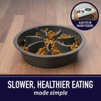 slow feeder dog bowl fits elevated feeders compatible with raised dog feeding stands